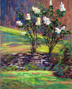 Murray's Garden 2 by 2  16x20 o max.jpg (138688 bytes)